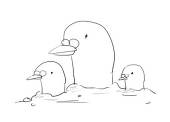 山鳩