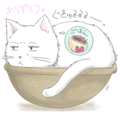 ちゃち