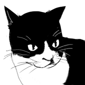 ねこた