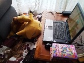 八広