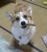 とぽ