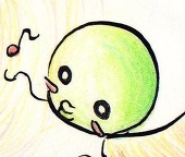 あさぽんた