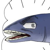 汚魚