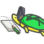 みなみがめ