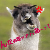 悪糖☆トゥ！