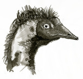 ウパカマ