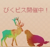 椎名@ぴくピス企画主
