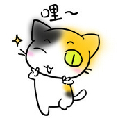 猫小球