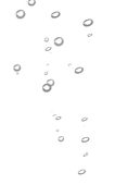 水葛