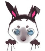 coffeefox33