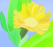 なつ
