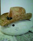 にこふ伍長