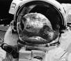 space_otter