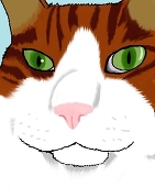 狛田