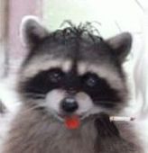 ぬし