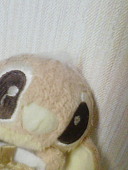 みんみん