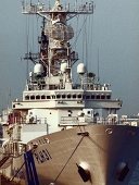 PLH31