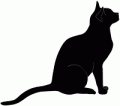黒猫