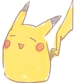 ＊