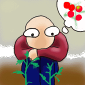 わかを
