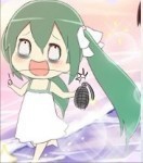 バカコ