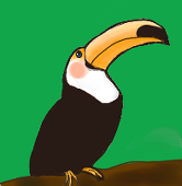 コウ