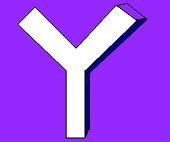 Y