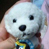 むぎこ