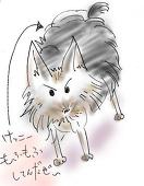 usami31