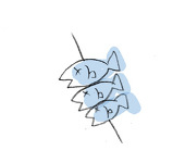 あめちこ