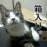 成