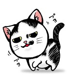 チビタマ