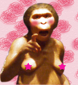 音菊