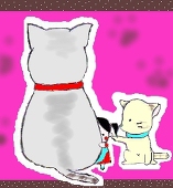 めゆゆ
