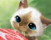 招きキャット