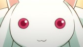 かにぱんほむほむ