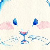 ぴぴぴ