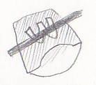 準将
