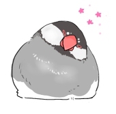 虎つぐみ