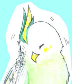 鯱子