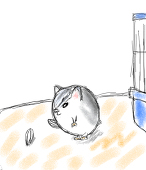 しっちゅう？
