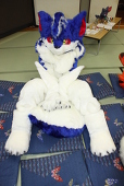 ウォルラス