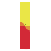 ２５４