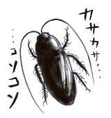 垣根あけび