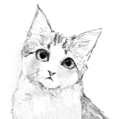 明