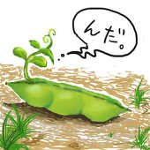 ずんだん