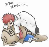 狸