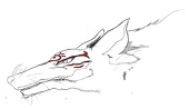 絵かき目指して初日なぅ