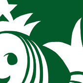 starbuck