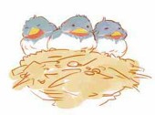 あめだま